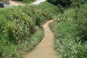 corrego