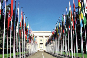 onu