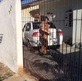 crime fora