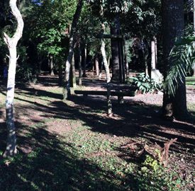 bosque