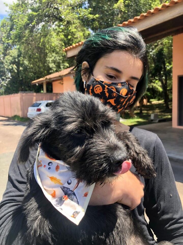 frank-caes-halloween