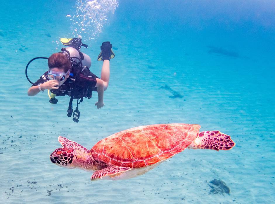 Pacote de Viagem - Curaçao - 2023 e 2024