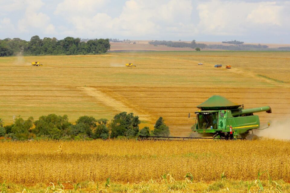 Agricultura Paraná