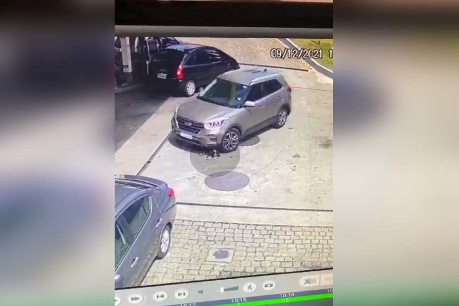 cachorro morte atropelado posto Pinheirinho