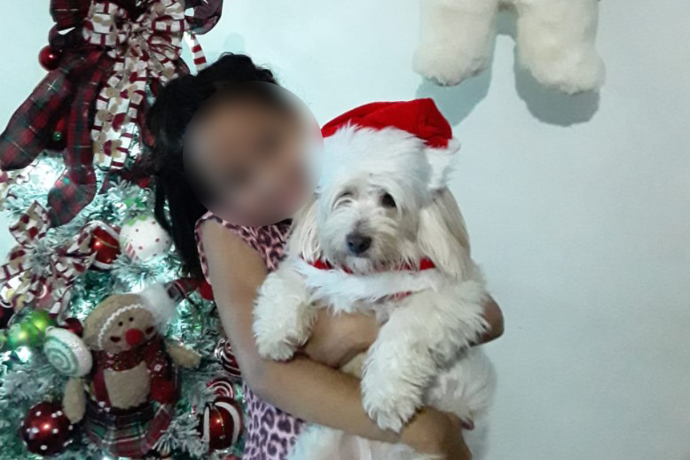 'Floquinho' é resgatado perto de shopping no Xaxim após divulgação de sumiço: 'Agora vai ter Natal' 'Floquinho' é resgatado perto de shopping no Xaxim após divulgação de sumiço: 'Agora vai ter Natal'