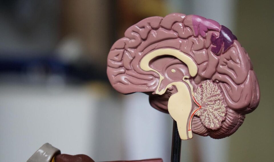 Justiça concede benefício assistencial para homem que sofre de epilepsia