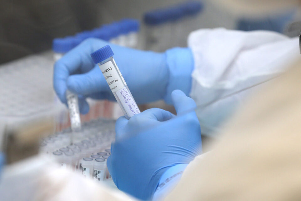 Paraná confirma mais 481 casos e 28 mortes pela H3N2 Paraná confirma mais 481 casos e 28 mortes pela H3N2