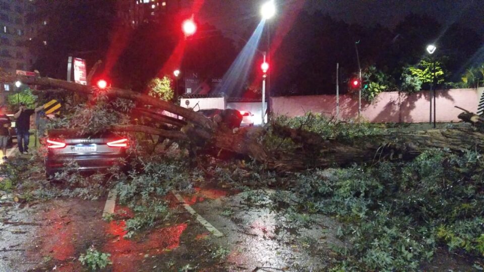 Árvore cai sobre carro com pai e filho dentro no Alto da XV; chuva provocou mais estragos em Curitiba Árvore cai sobre carro com pai e filho dentro no Alto da XV; chuva fez estragos