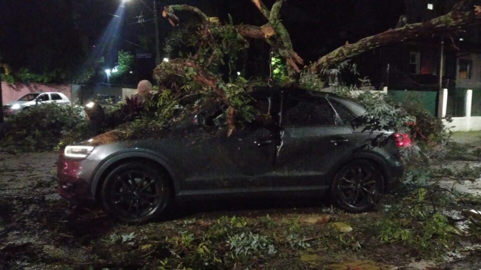 Árvore cai sobre carro com pai e filho dentro no Alto da XV; chuva provocou mais estragos em Curitiba Árvore cai sobre carro com pai e filho dentro no Alto da XV; chuva fez estragos