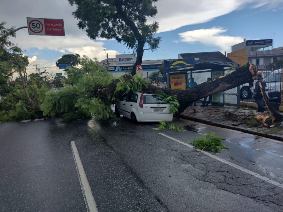 Árvore cai sobre carro com dois passageiros e assusta motoristas no Rebouças Árvore cai sobre carro com dois passageiros e assusta motoristas no Rebouças