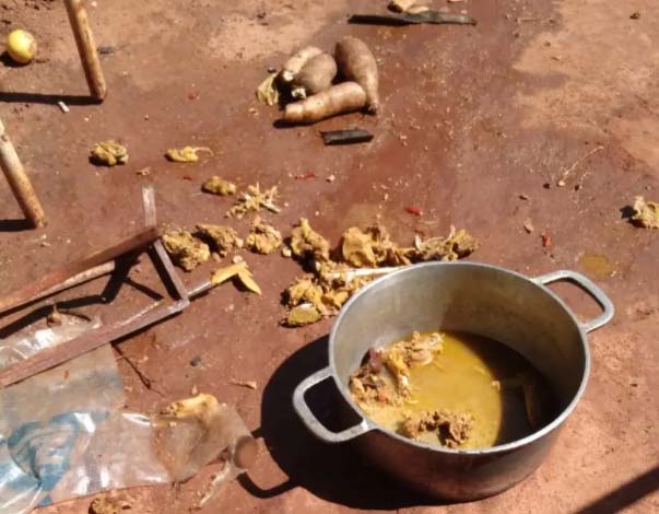 Dono se revolta ao encontrar aves exóticas sendo cozidas na casa do vizinho após furto no Paraná Dono se revolta ao encontrar aves exóticas sendo cozidas na casa do vizinho após furto no Paraná