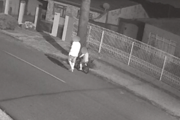 Vídeo: Acompanhado de criança, homem põe fogo em araucária e revolta vizinhos no Mossunguê