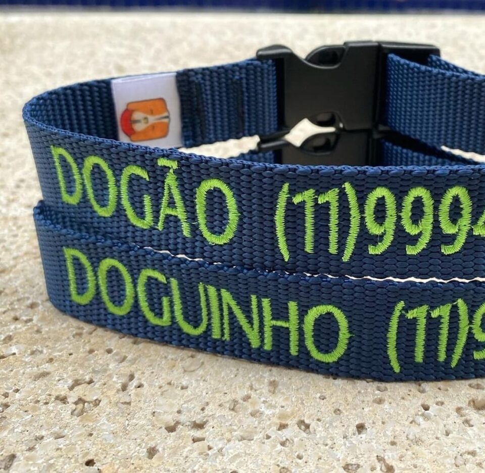 Por que devemos identificar os nossos cachorros?