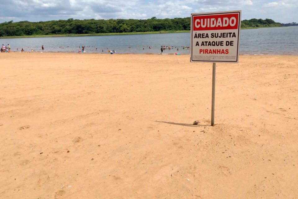 Bombeiros fazem alerta sobre ataques de piranhas em praias do Paraná; já são 28 vítimas neste verão