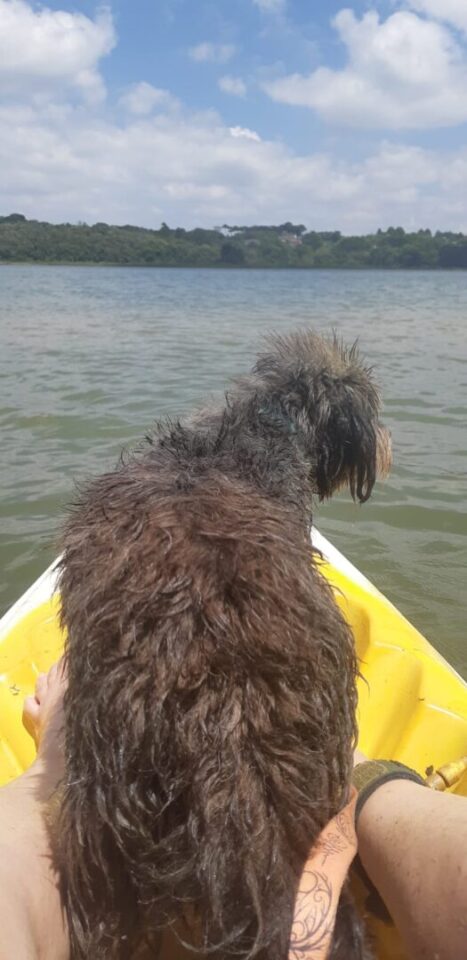 Parque Passaúna é a "praia" do curitibano nos dias quentes e um ótimo lugar para levar seu cachorro