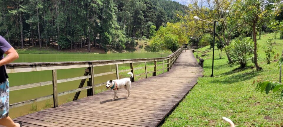 Conheça parques 'fora do circuito turístico' para passear com seu cachorro