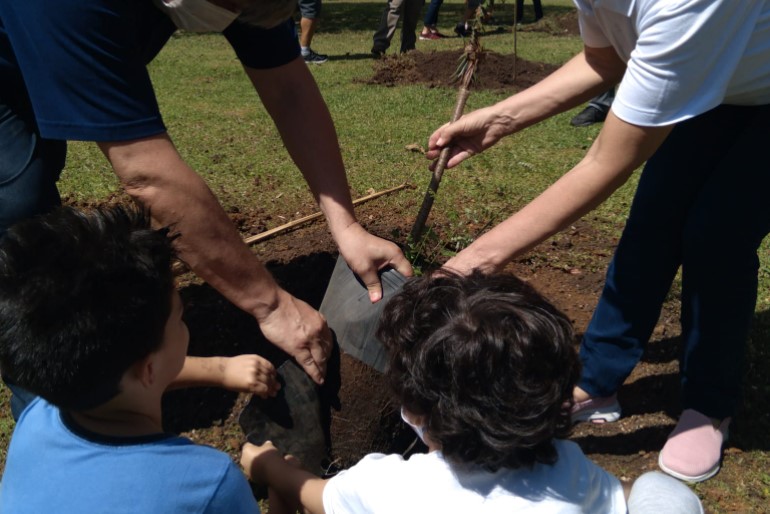 Barragem de Piraquara II recebe mais de 100 mudas de araucária para ajudar a reter água nas encostas