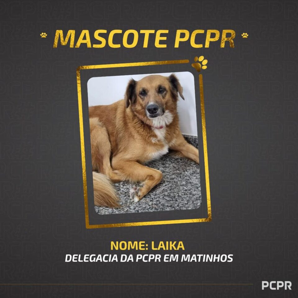 laika