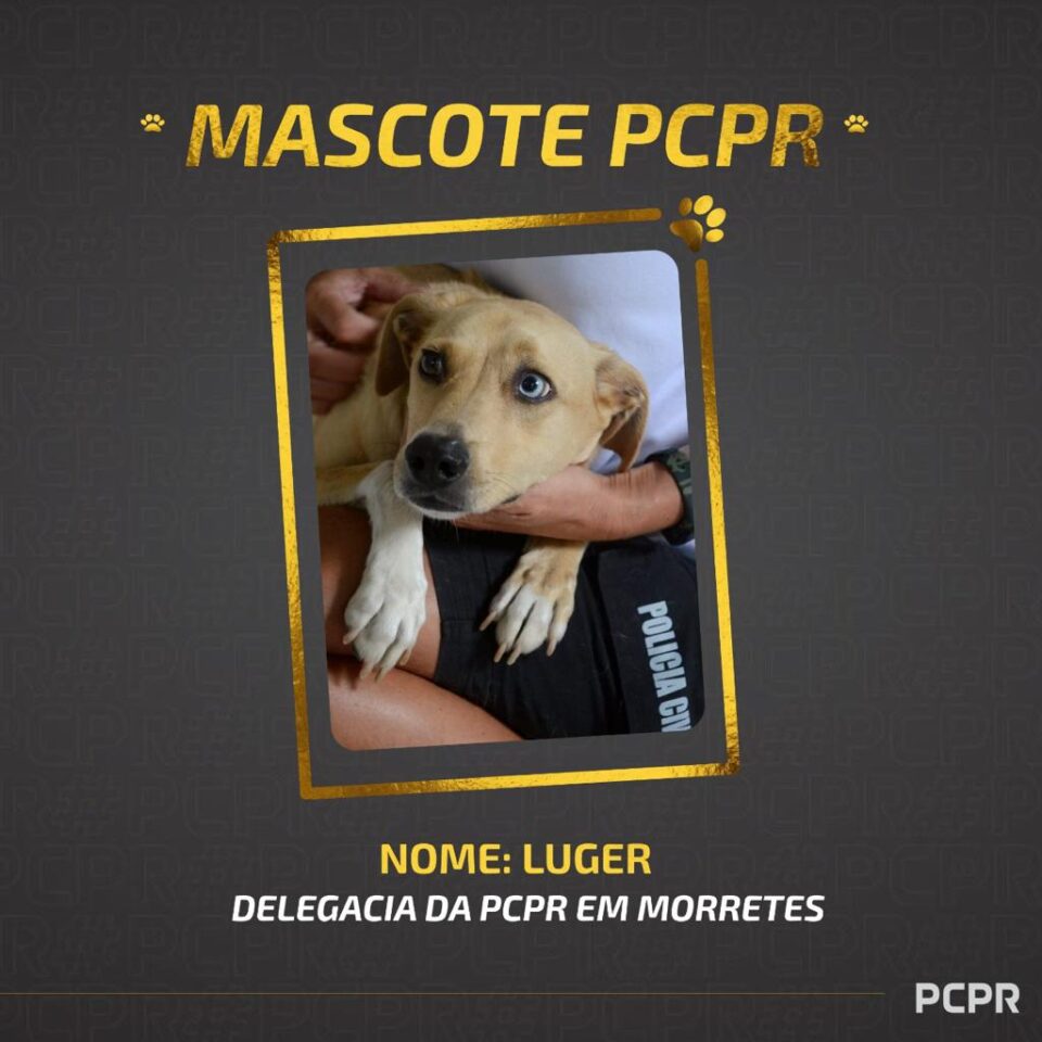 luger