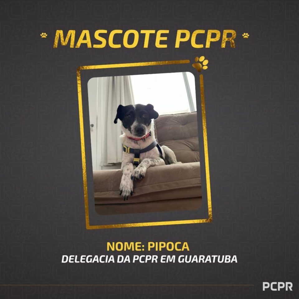pipoca