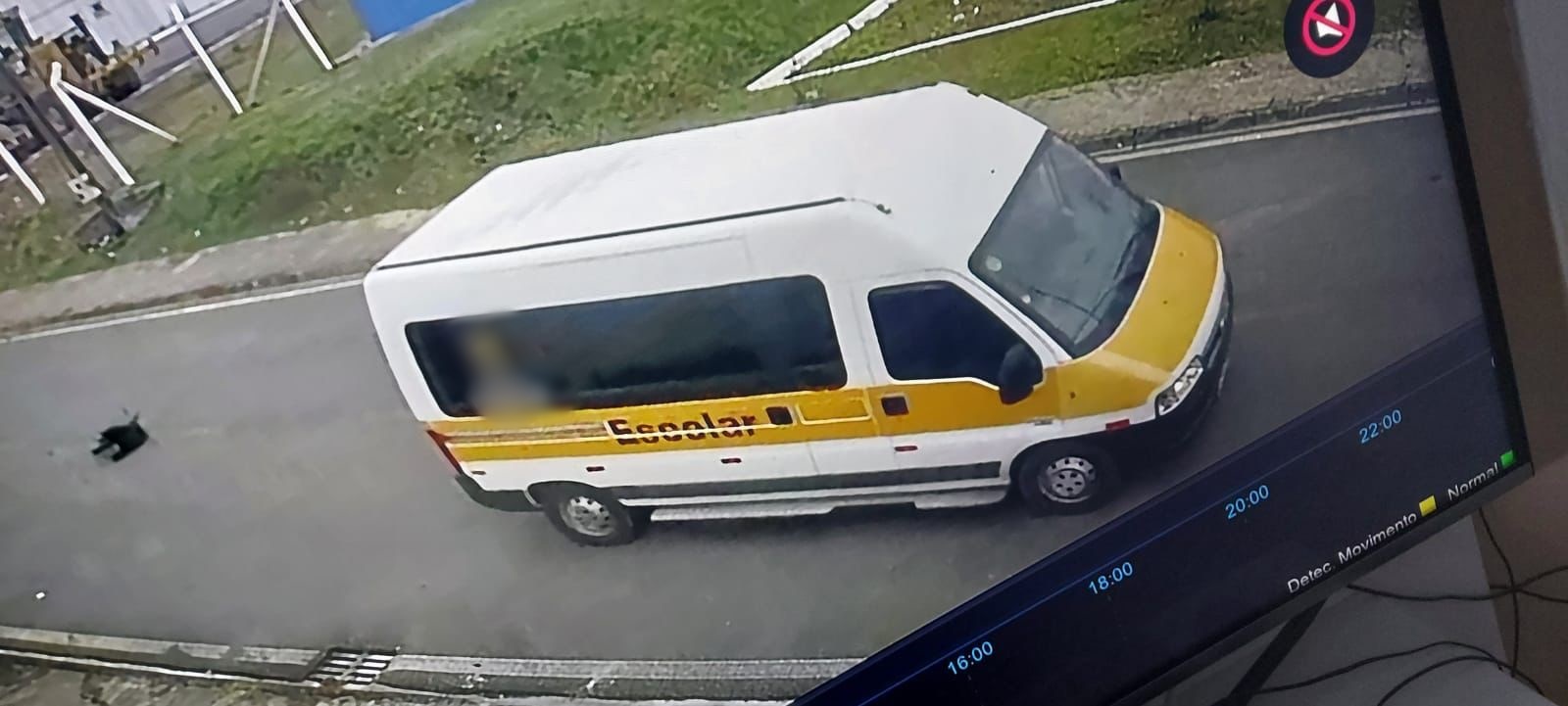 Motorista de van escolar atropela cão já ferido, foge sem prestar socorro e é preso em Quatro Barras;