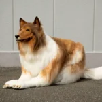 fantasia de cachorro