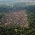 desmatamento amazônia
