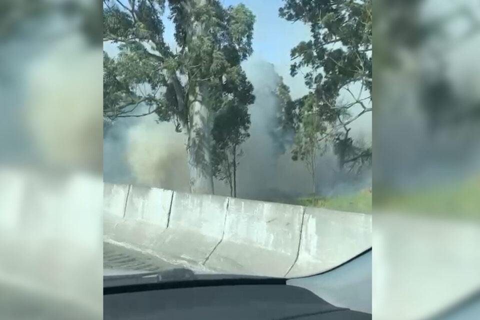 Em tarde seca, incêndio de grandes proporções atinge matagal próximo ao Jardim Botânico