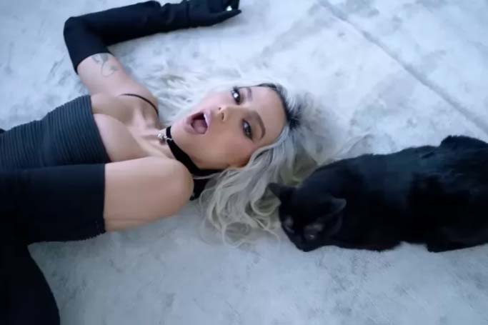 Anitta Gata