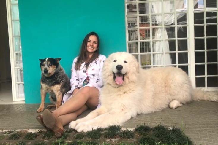 mapeamento genético pets Curitiba