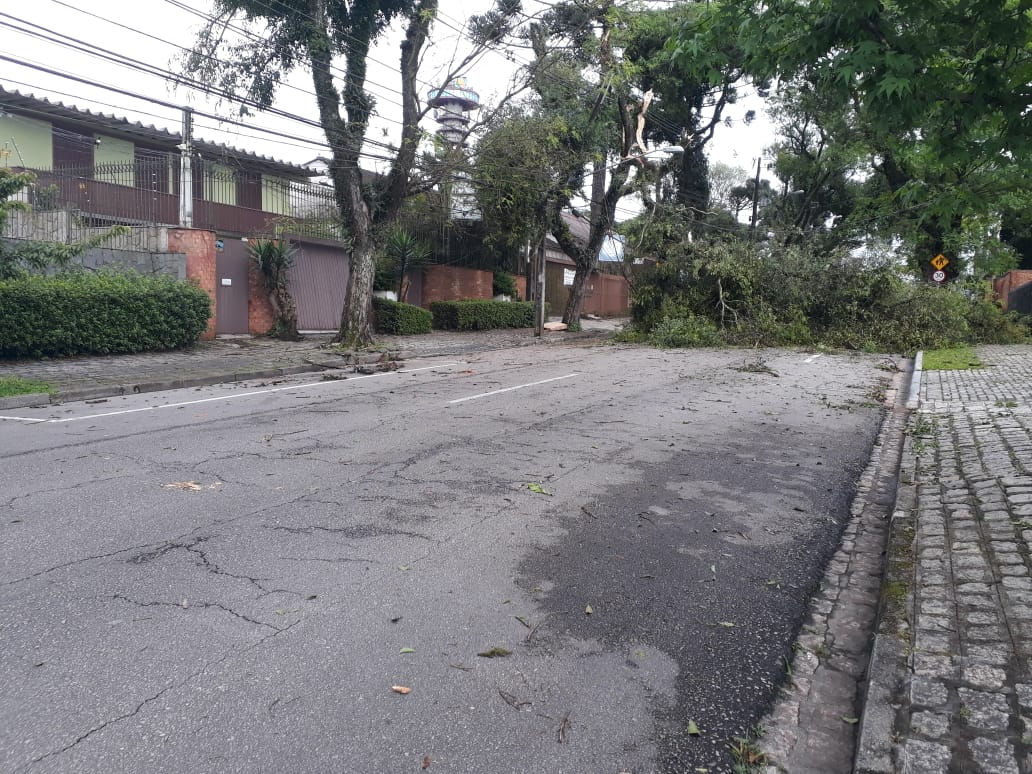 Chuva provoca quedas de árvores e deixa residências sem luz