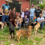 cães Fazenda Rio Grande