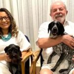 Janja Lula cães
