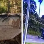 Motociclista morto em Contenda era estudante de Direito e filho de empresários da educação na Lapa