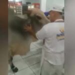 boi mercado Paraná