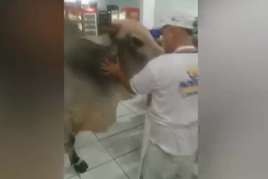 boi mercado Paraná
