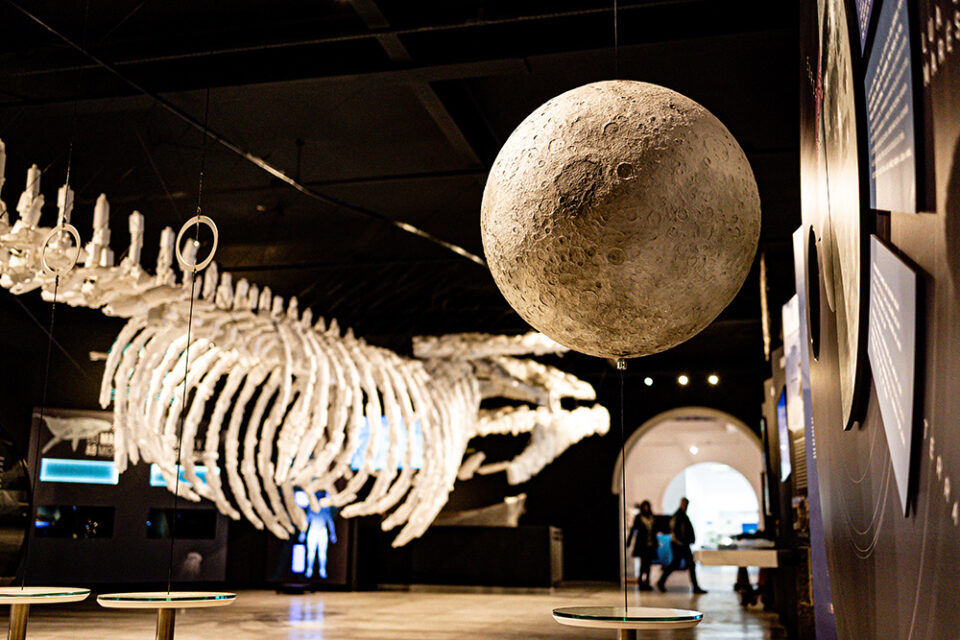 museu planeta agua
