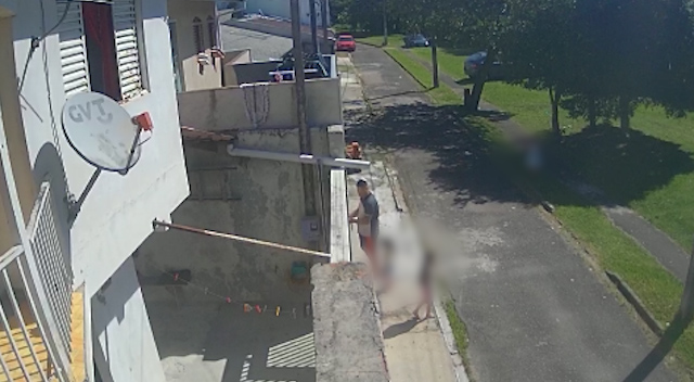 Sítio Cercado Curitiba