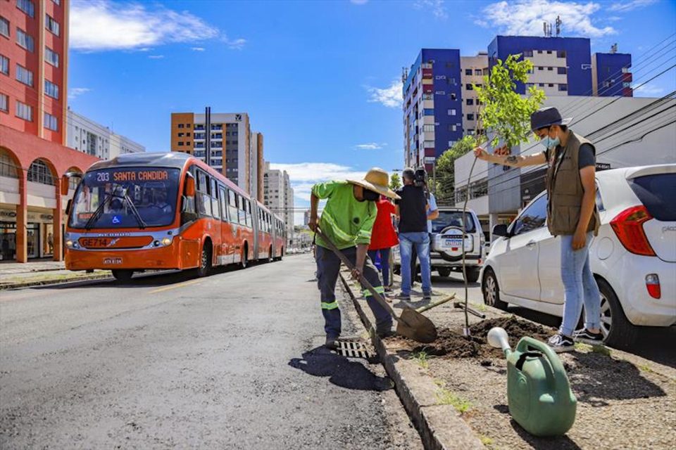 Boa Vista, Bacacheri e Tingui: onde a natureza deixa rastros para a Curitiba do futuro