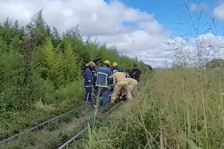 Rapaz de 25 anos é atropelado por trem no bairro Boqueirão e fica ferido