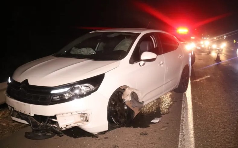 Carro de família que voltava de Bandeirantes para Curitiba acerta cavalo morto em cheio na BR-376 Carro de família que voltava de Bandeirantes para Curitiba acerta cavalo morto em cheio na BR-376