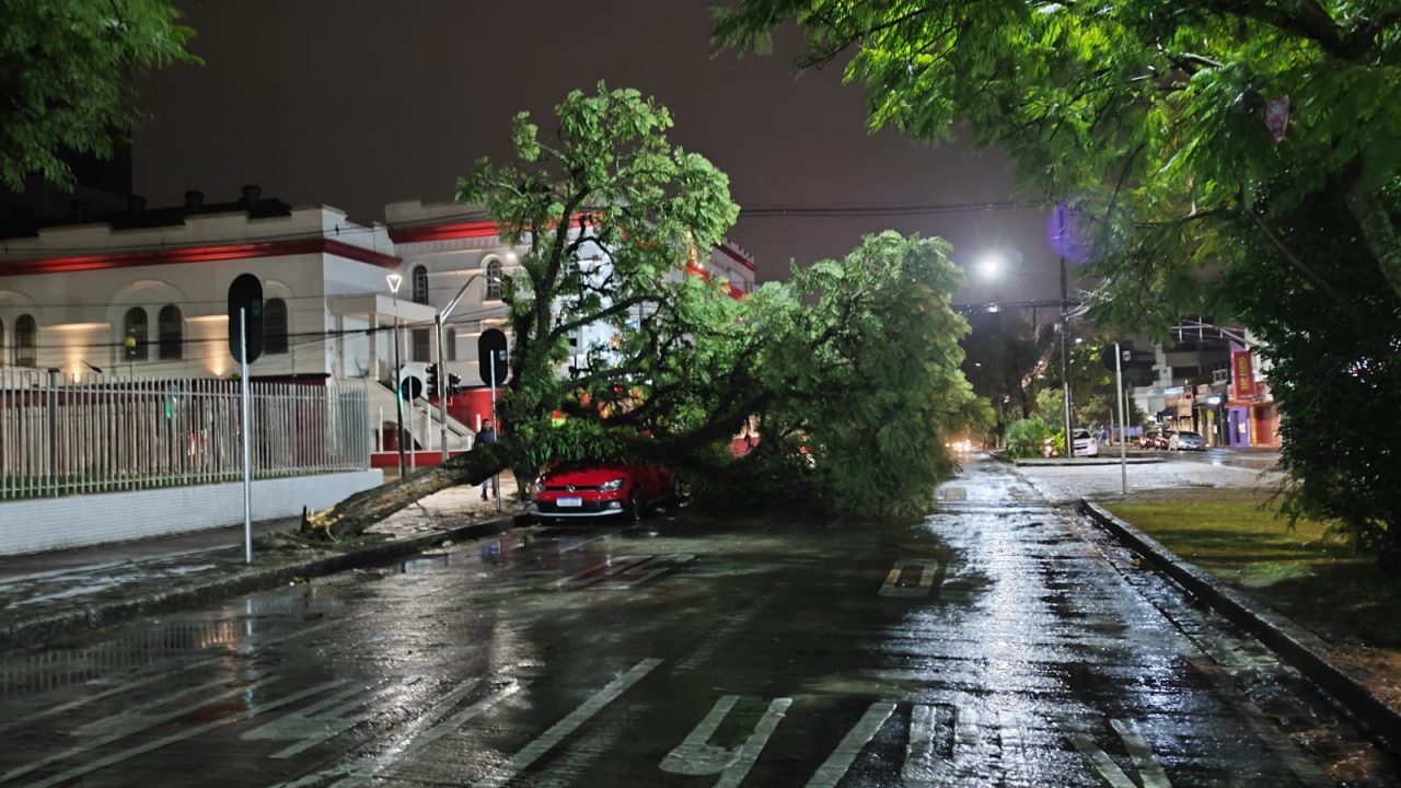 Vendaval derruba árvores e provoca destruição em Curitiba e Região Metropolitana