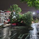 Vendaval derruba árvores e provoca destruição em Curitiba e Região Metropolitana