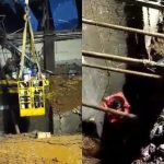 buscas trabalhador cooperativa