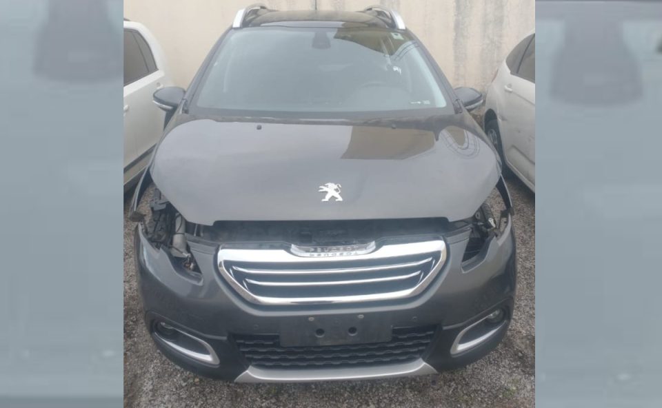 carros clonados