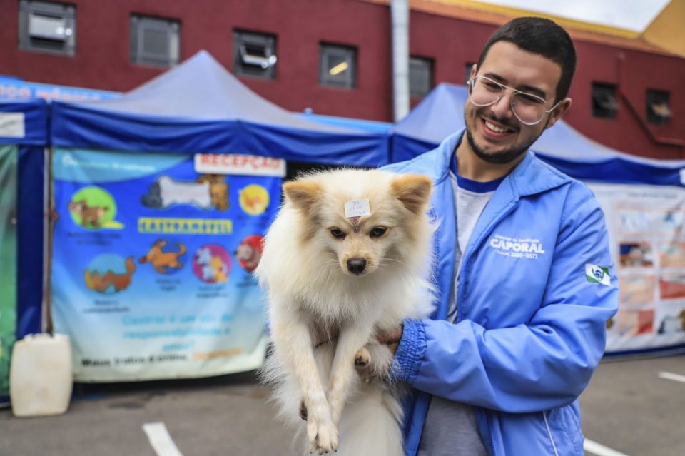 castrações cães gatos curitiba