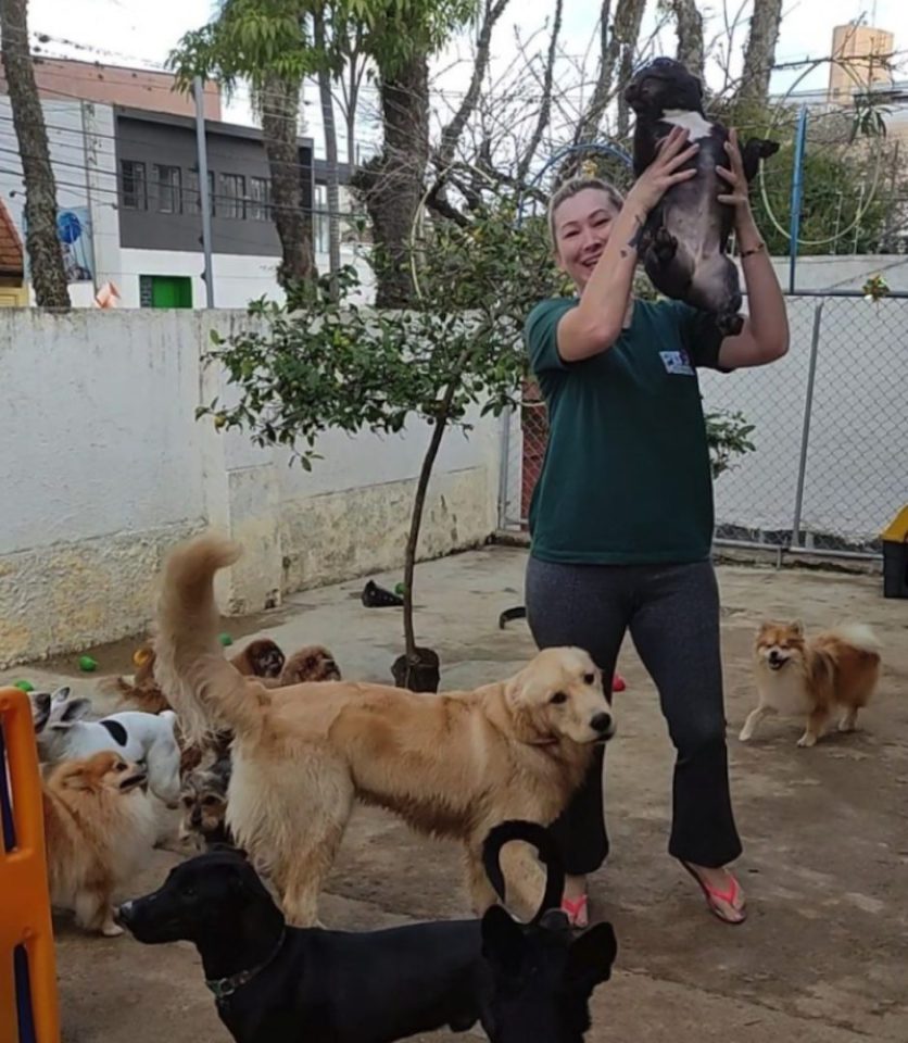 Mulher deixa área administrativa para abrir creche e hotel para cachorros em Curitiba