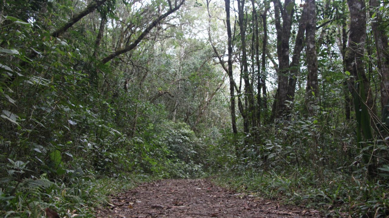 img-20231027-wa0118