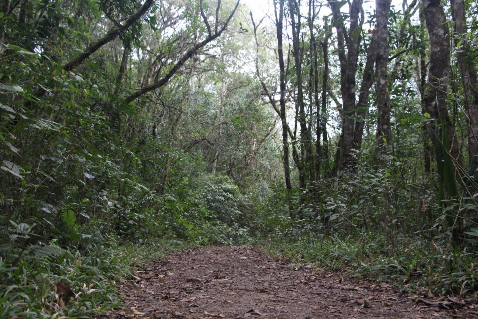 img-20231027-wa0118