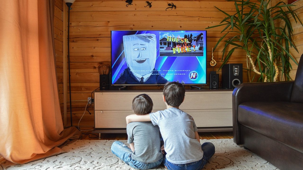 Formato pretende captar o público das TVs abertas para o streaming - Foto: Pixabay